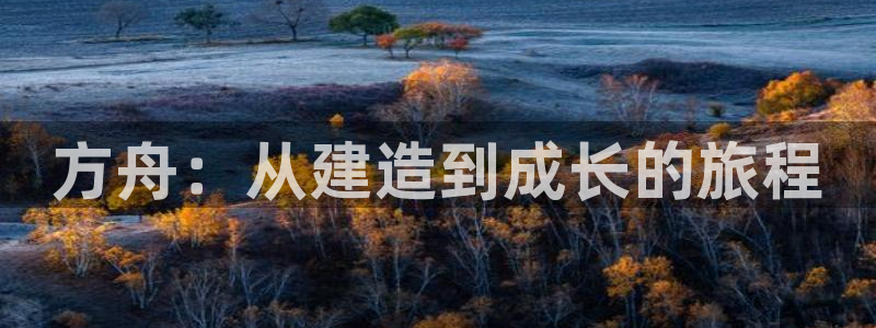 安信12位数资金号：方舟：从建造到成长的旅程