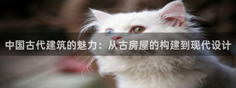 esp-12s安信：中国古代建筑的魅力：从古房屋的构建到现代设计