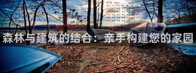 安信12是做什么：森林与建筑的结合：亲手构建您的家园