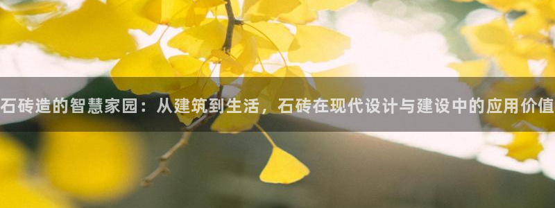 安信12软件介绍：石砖造的智慧家园：从建筑到生活，石砖在现代设计与建设中的应用价值