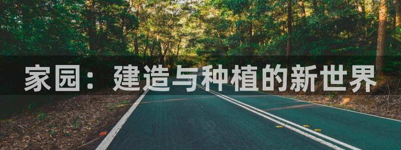 安信12专用挂机：家园：建造与种植的新世界