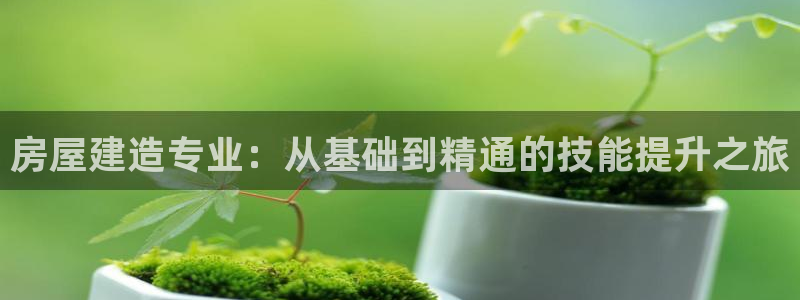 安信12专用挂机