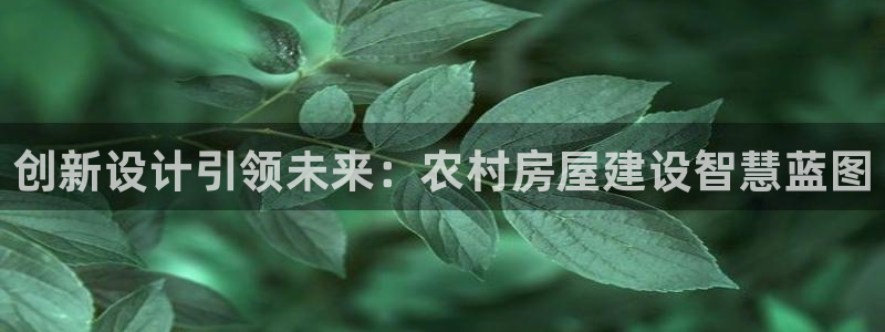 安信12：创新设计引领未来：农村房屋建设智慧蓝图