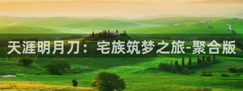 安信12是什么软件：天涯明月刀：宅族筑梦之旅-聚合版
