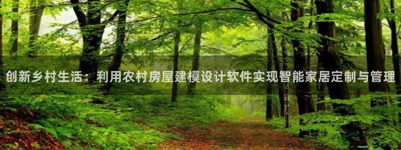 信安12：创新乡村生活：利用农村房屋建模设计软件实现智能家居定制与管理