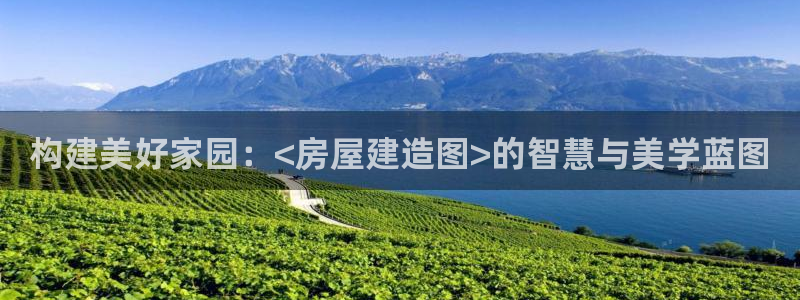 安信12如何开代理：构建美好家园：<房屋建造图>的智慧与美学蓝图