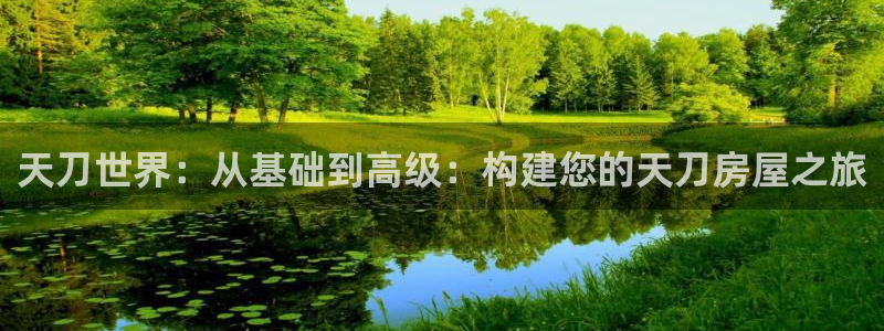安信12怎么注册：天刀世界：从基础到高级：构建您的天刀房屋之旅