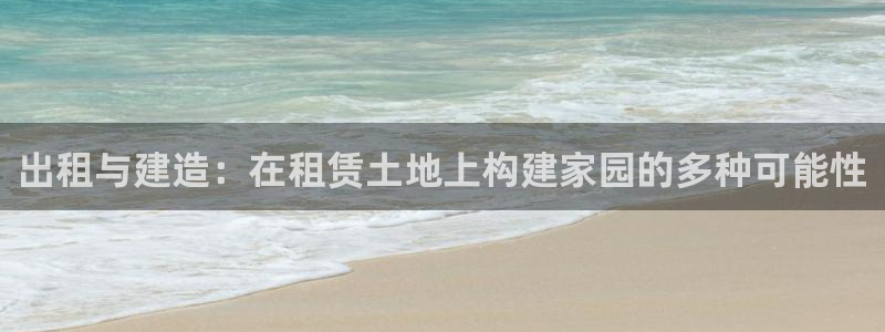 安信12级大众：出租与建造：在租赁土地上构建家园的多种可能性