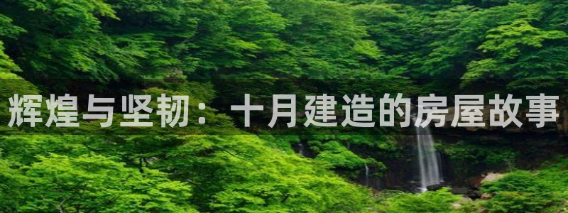 安信12是做什么：辉煌与坚韧：十月建造的房屋故事