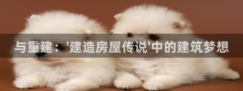 安信安翼 12账号：与重建：\'建造房屋传说\'中的建筑梦想