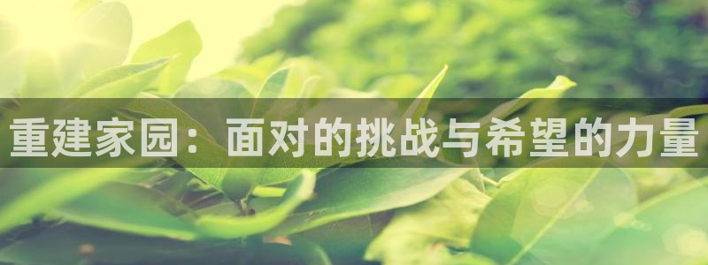 安信esp 12k：重建家园：面对的挑战与希望的力量