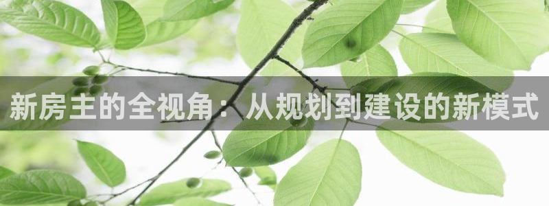 安信12下载：新房主的全视角：从规划到建设的新模式
