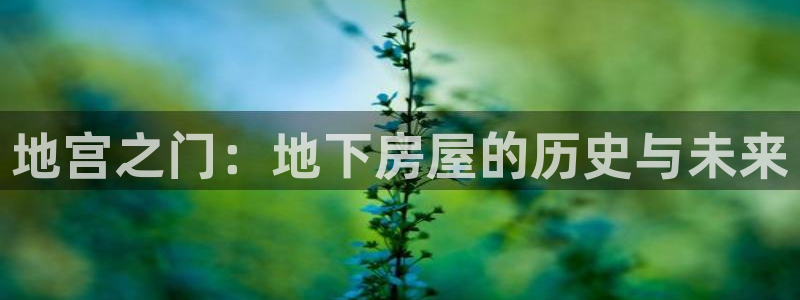 安信12娱乐：地宫之门：地下房屋的历史与未来