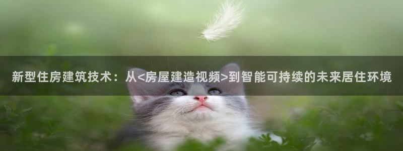 安信12招商：新型住房建筑技术：从<房屋建造视频>到智能可持续的未来居住环境