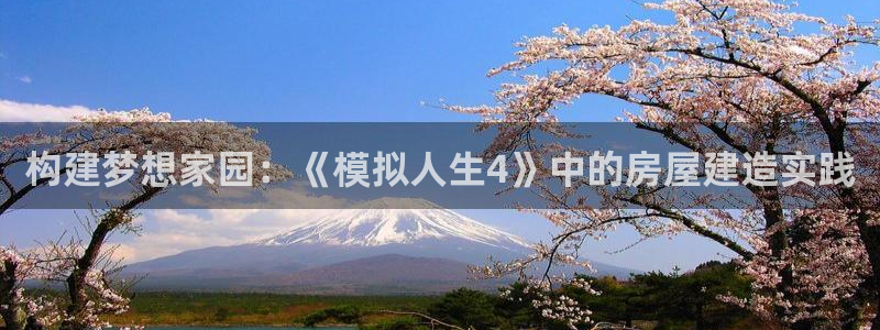 安信12注册代理：构建梦想家园：《模拟人生4》中的房屋建造实践