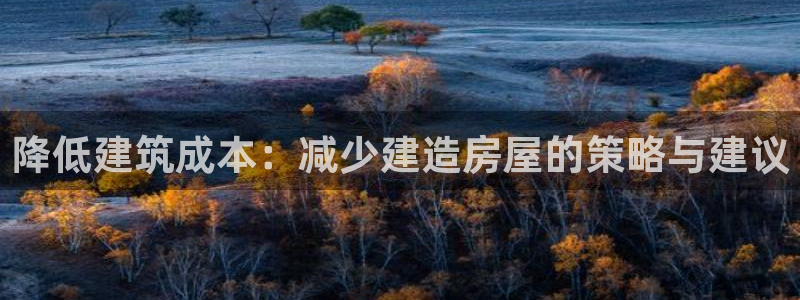 安信12包赔：降低建筑成本：减少建造房屋的策略与建议