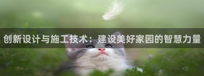 esp-12s安信：创新设计与施工技术：建设美好家园的智慧力量