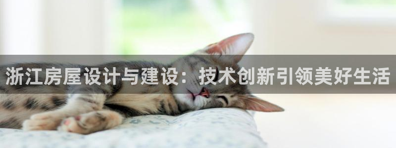 安信12想开户：浙江房屋设计与建设：技术创新引领美好生活