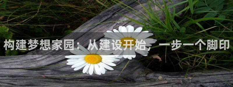 安信4娱乐去55 12：构建梦想家园：从建设开始，一步一个脚印