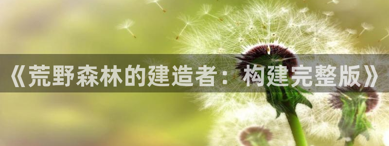 安信12登录网址：《荒野森林的建造者：构建完整版》