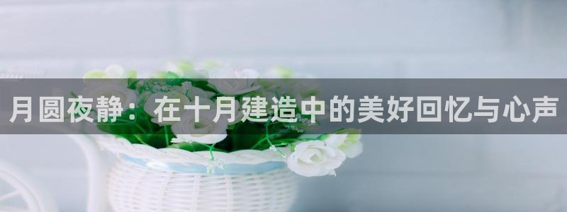 安信312 12：月圆夜静：在十月建造中的美好回忆与心声