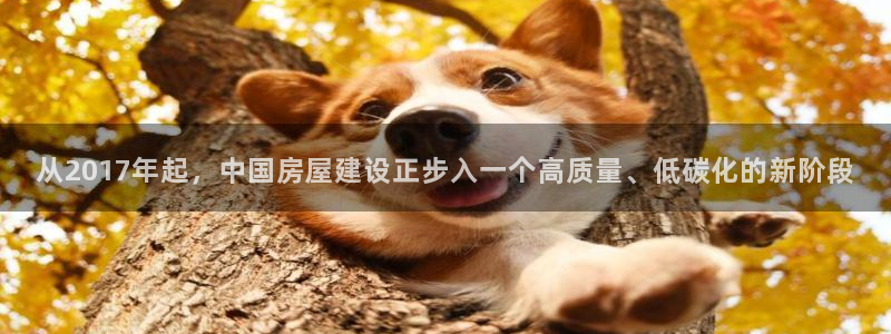 安信12官网：从2017年起，中国房屋建设正步入一个高质量、低碳化的新阶段