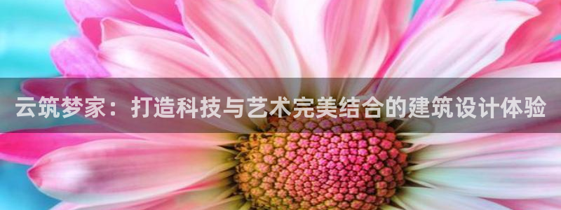 安信4特邀55 12：云筑梦家：打造科技与艺术完美结合的建筑设计体验