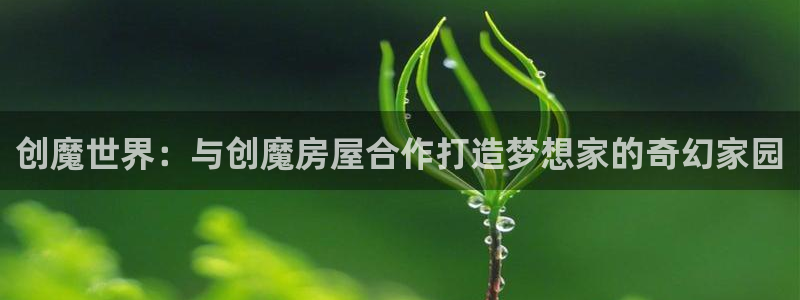 安信可f12：创魔世界：与创魔房屋合作打造梦想家的奇幻家园