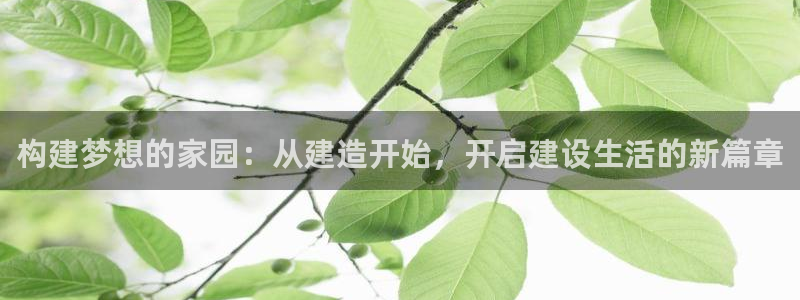 安信12注册登录下戴：构建梦想的家园：从建造开始，开启建设生活的新篇章