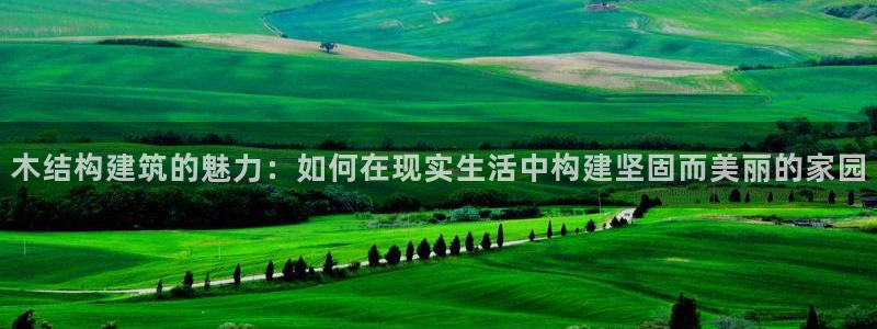 安信12负责人：木结构建筑的魅力：如何在现实生活中构建坚固而美丽的家园