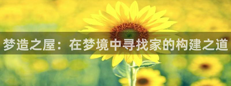安信12注册登录：梦造之屋：在梦境中寻找家的构建之道