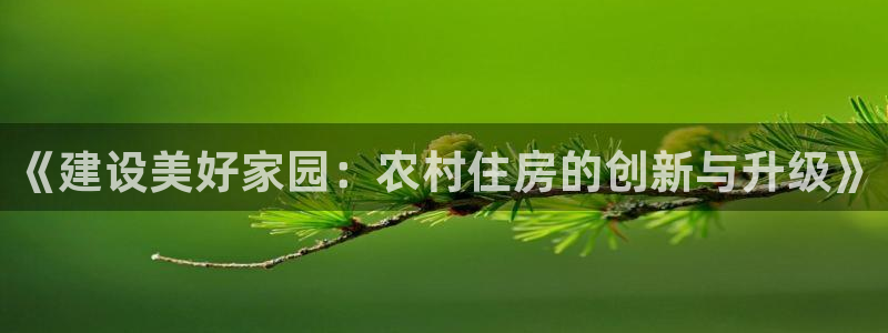 安信12网站：《建设美好家园：农村住房的创新与升级》