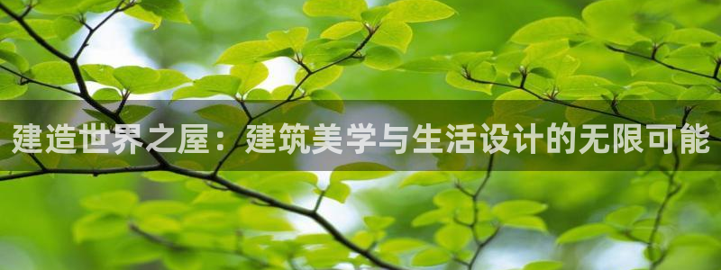 安信esp 12k：建造世界之屋：建筑美学与生活设计的无限可能