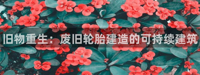 信安12：旧物重生：废旧轮胎建造的可持续建筑