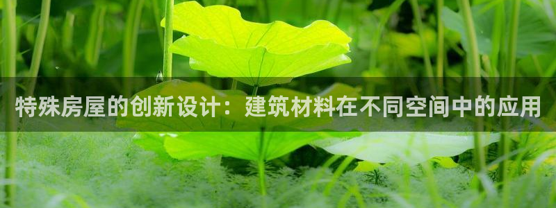 安信卓越12月：特殊房屋的创新设计：建筑材料在不同空间中的应用