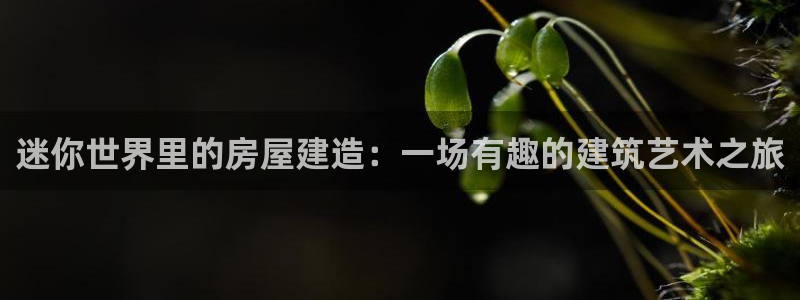 安信12平台可靠吗：迷你世界里的房屋建造：一场有趣的建筑艺术之旅