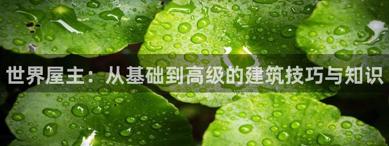 安立信12改装：世界屋主：从基础到高级的建筑技巧与知识