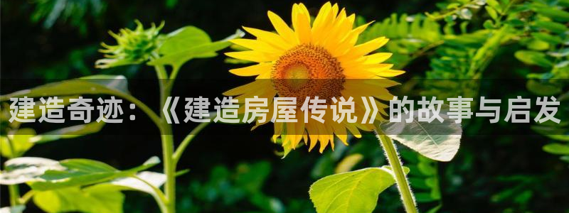 安信安盈12最新消息：建造奇迹：《建造房屋传说》的故事与启发