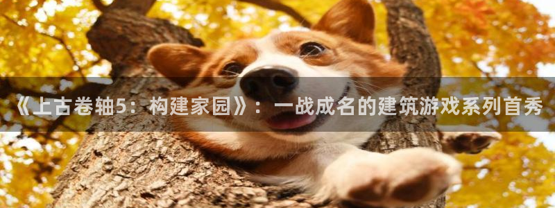 信安12乐打棒：《上古卷轴5：构建家园》：一战成名的建筑游戏系列首秀