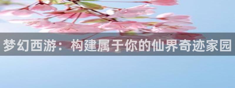 安信12账号：梦幻西游：构建属于你的仙界奇迹家园