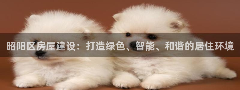 安信12app：昭阳区房屋建设：打造绿色、智能、和谐的居住环境