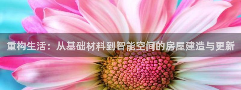 安信12平台的网址：重构生活：从基础材料到智能空间的房屋建造与更新
