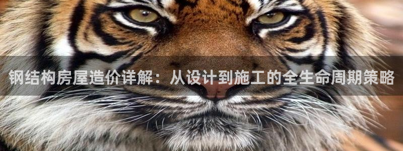 安信证券 12位：钢结构房屋造价详解：从设计到施工的全生命周期策略