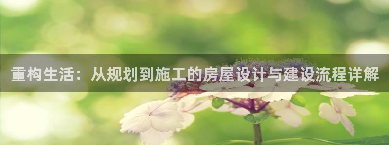 安信12平台官网：重构生活：从规划到施工的房屋设计与建设流程详解