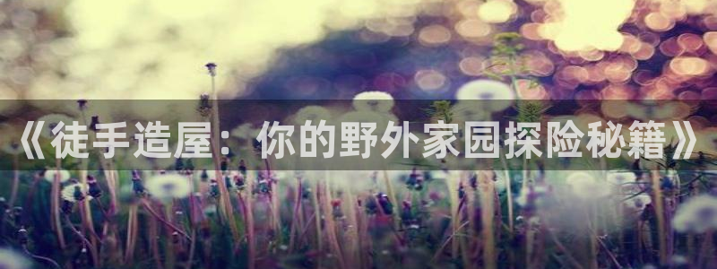 安信cw12系列：《徒手造屋：你的野外家园探险秘籍》