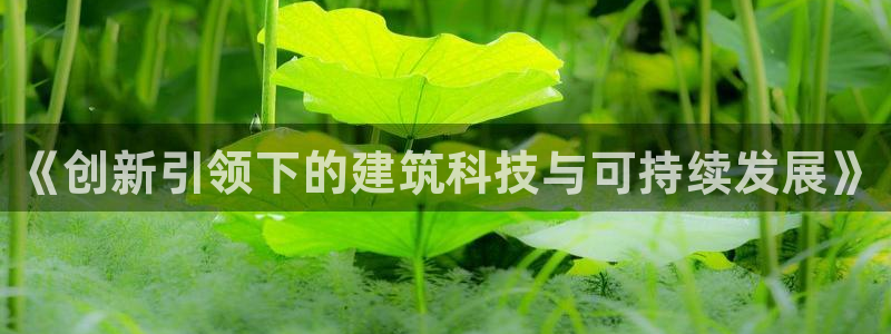 安信12包赔