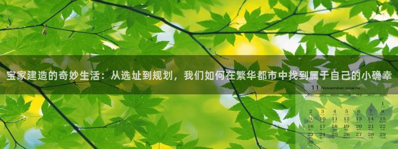 安信12专用挂机：宝家建造的奇妙生活：从选址到规划，我们如何在繁华都市中找到属于