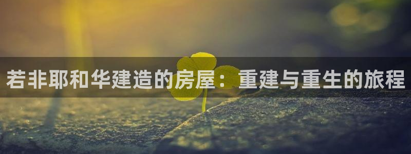 安信12注册登录平台：若非耶和华建造的房屋：重建与重生的旅程