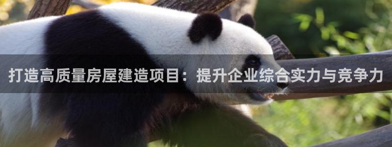 安信12平台下载：打造高质量房屋建造项目：提升企业综合实力与竞争力