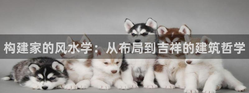 安信12下载：构建家的风水学：从布局到吉祥的建筑哲学